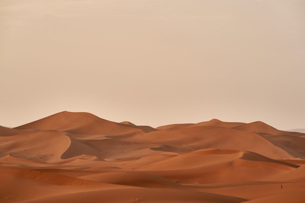 Desierto simbolizando la falta de actividad al inicio de una carrera de marketing