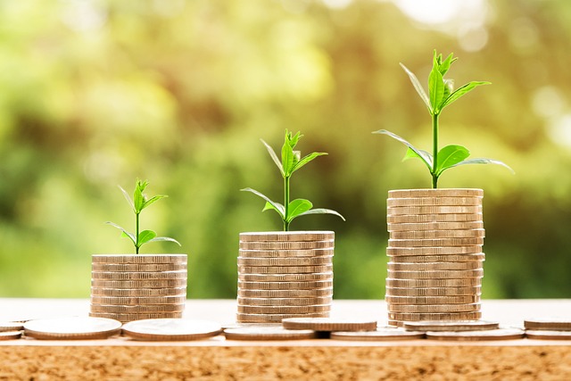 Dinero para el fraccionamiento de pagos de Hacienda