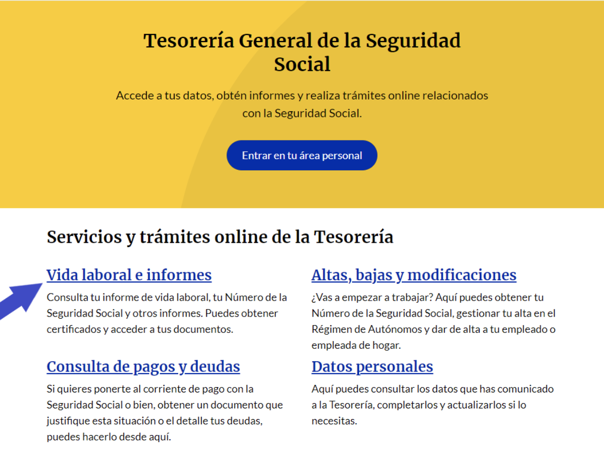Pantalla de Importass de la Seguridad Social donde el autónomo deberá clicar