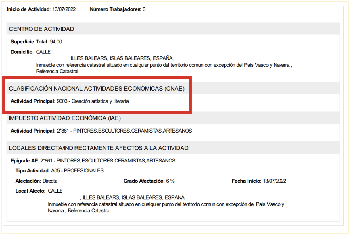 Pantalla donde se señala la clasificación nacional de tu actividad económica (CNAE) para que puedas darte de alta como autónomo.