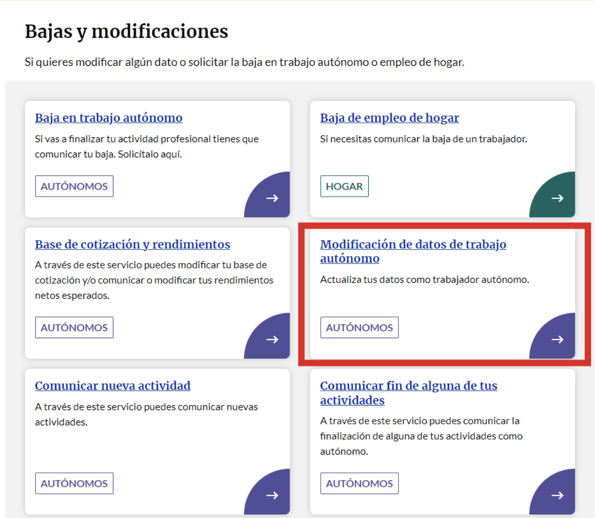Pantalla de Importass donde el autónomo podrá acceder para modificar los datos de su trabajo autónomo.