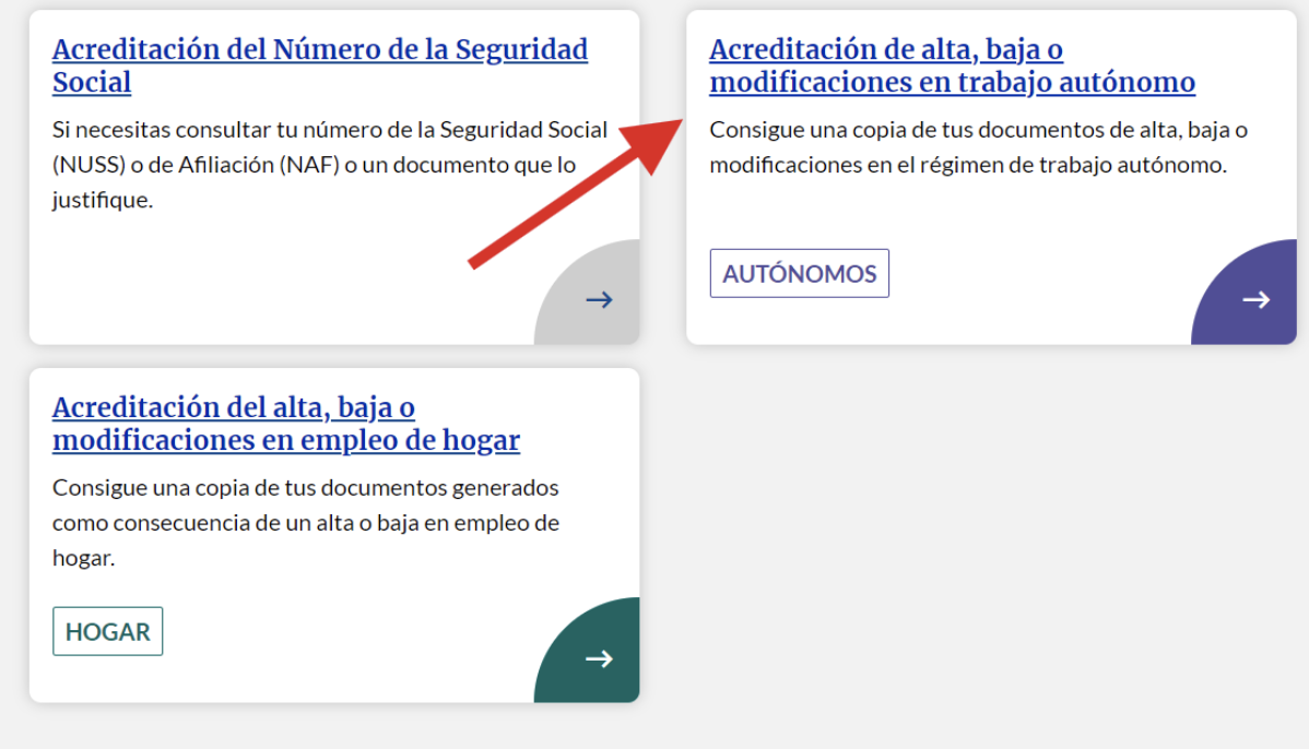 Pantalla de Importass de la Seguridad Social donde se señala el apartado de