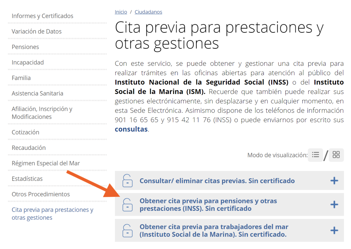 Pantalla de la sede electrónica de la seguridad social donde se detalla las opciones para tener una cita con ellos para consultar sobre la jubilación anticipada como autónomo.