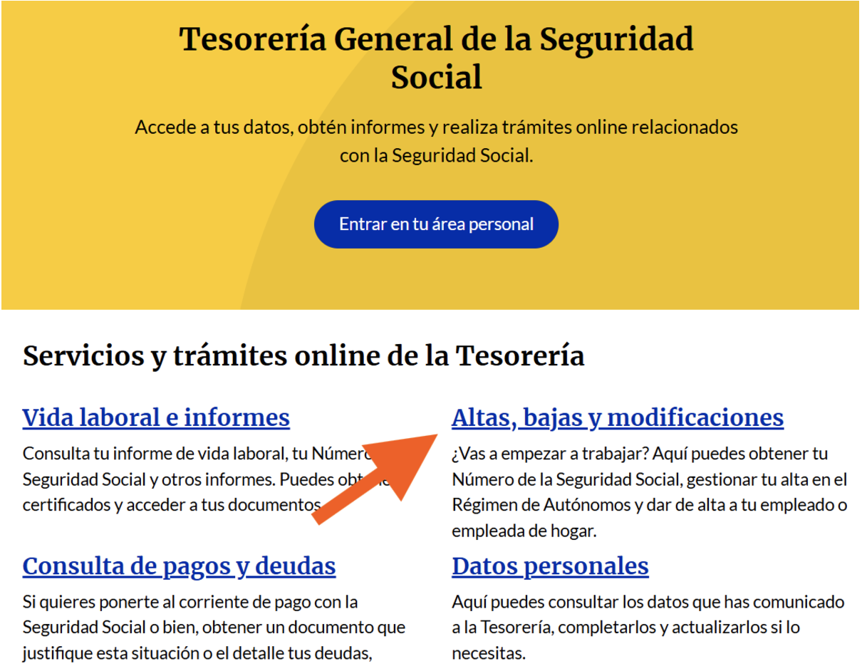 Pantalla de Importass donde el autónomo deberá ingresar a la sección de