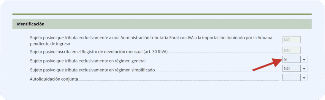 Detalle de la presentación del modelo 303 - marca sí en la casilla de Sujeto pasivo que tributa exclusivamente en régimen general.