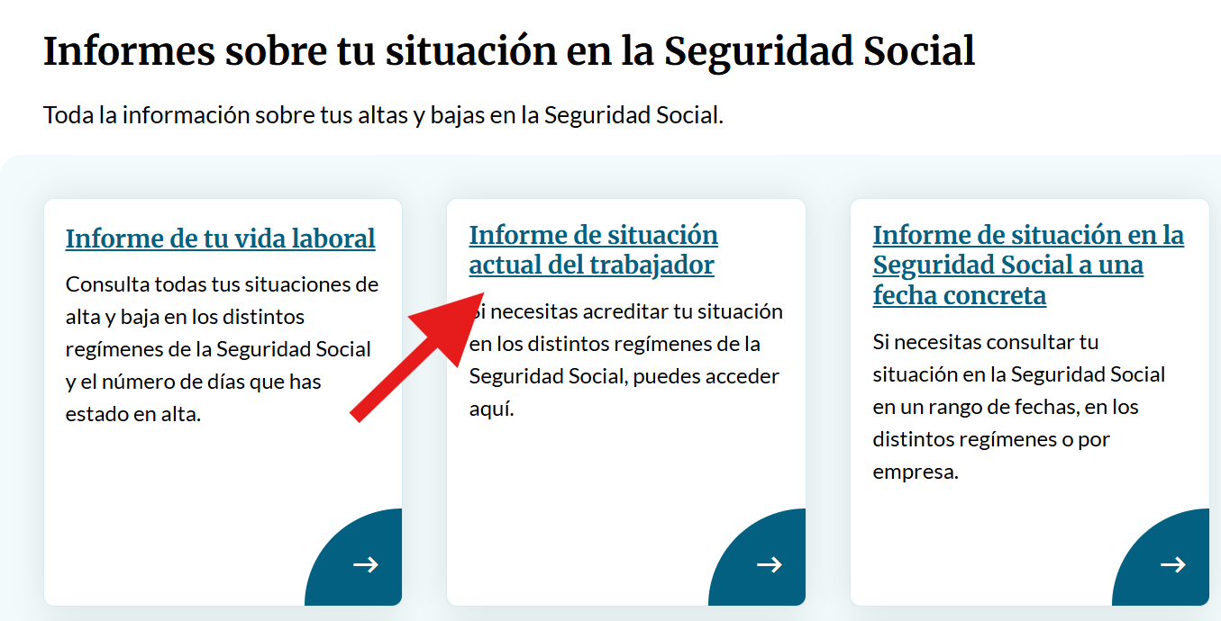 Cómo saber si estoy dado de alta en el RETA