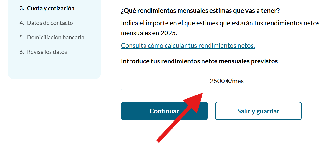 Indica tus rendimientos netos de autónomo.
