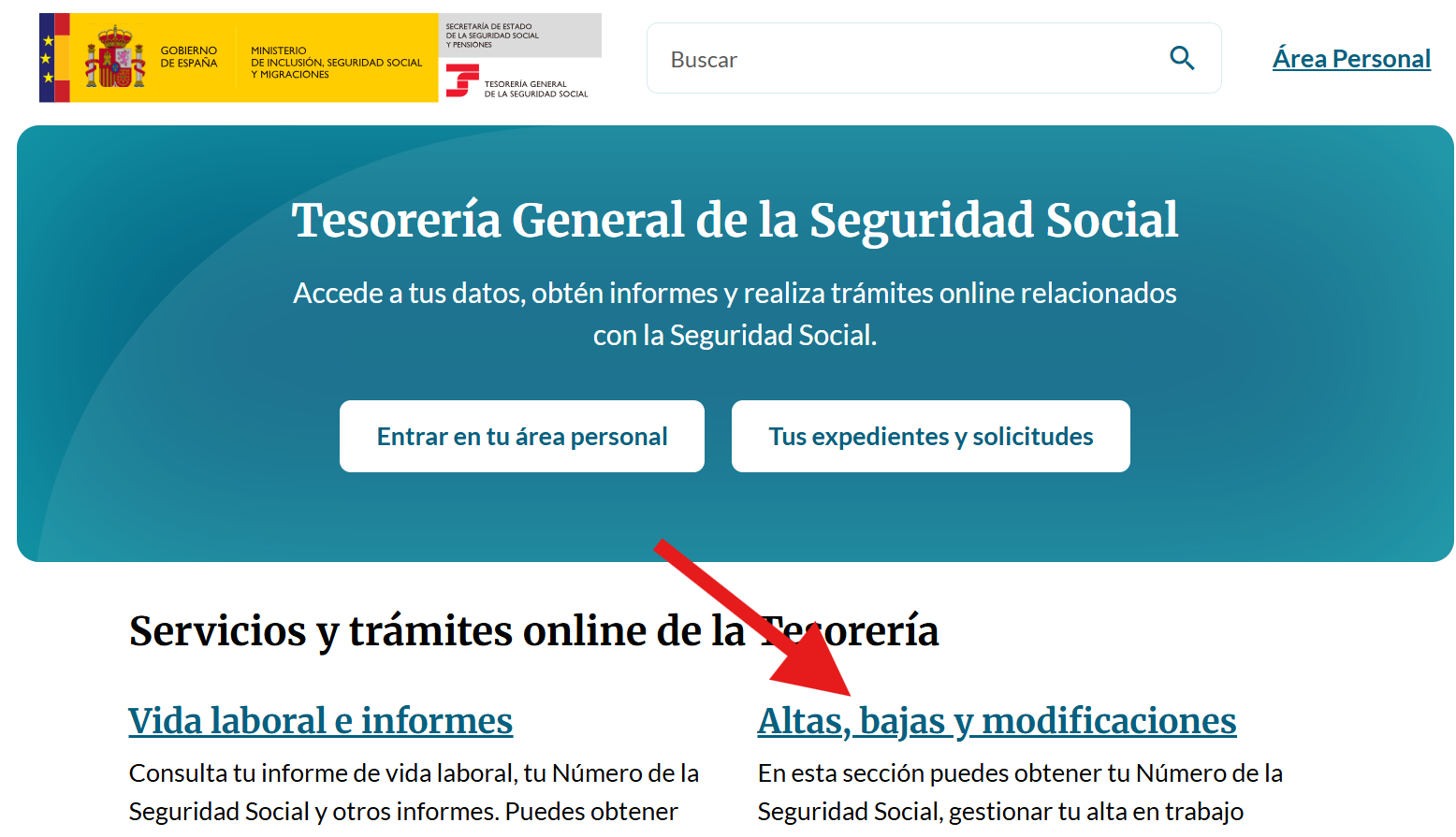 Para darte de alta en el RETA, entra en la web de Importass.